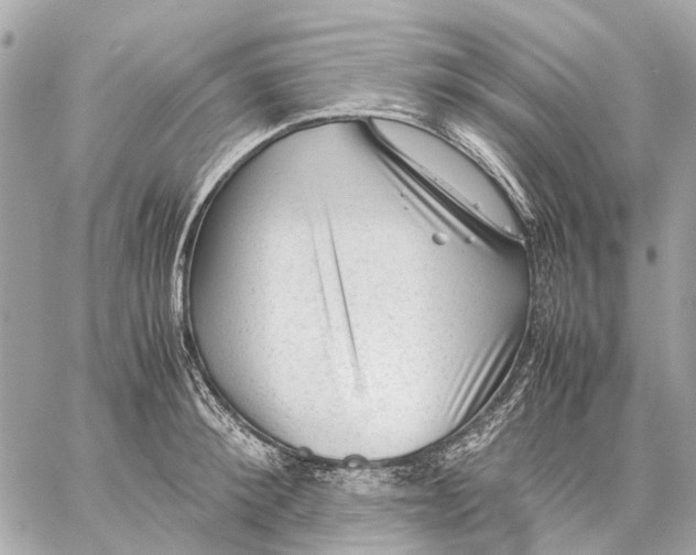 X0000059230900200511041238