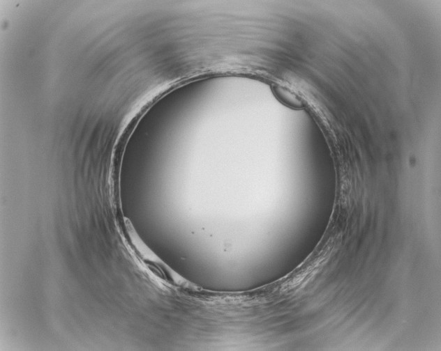 X0000059230902200511041238