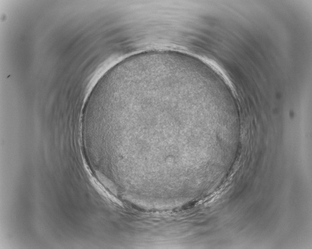 X0000059230903200511041238