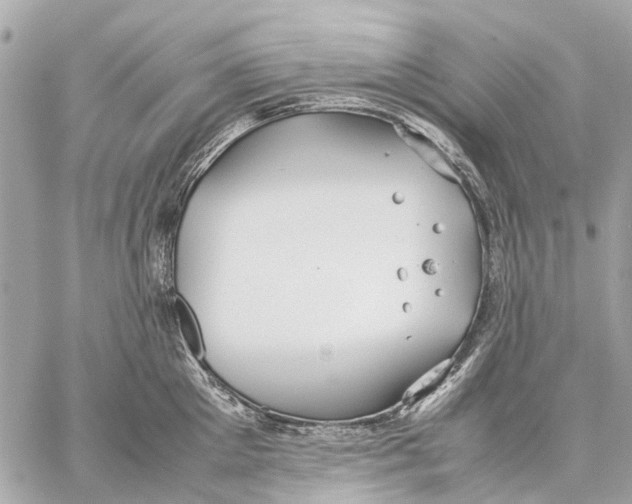 X0000059230905200511041238