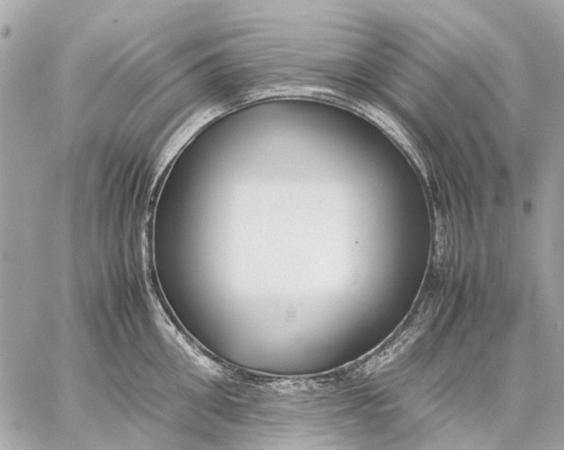 X0000059230906200511041238