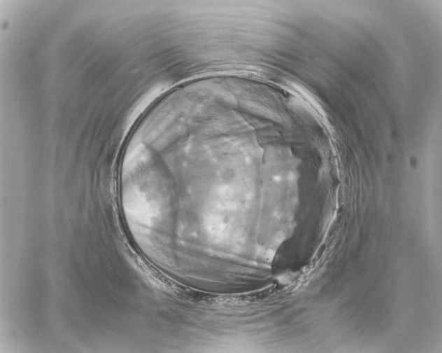 X0000059230907200511041238