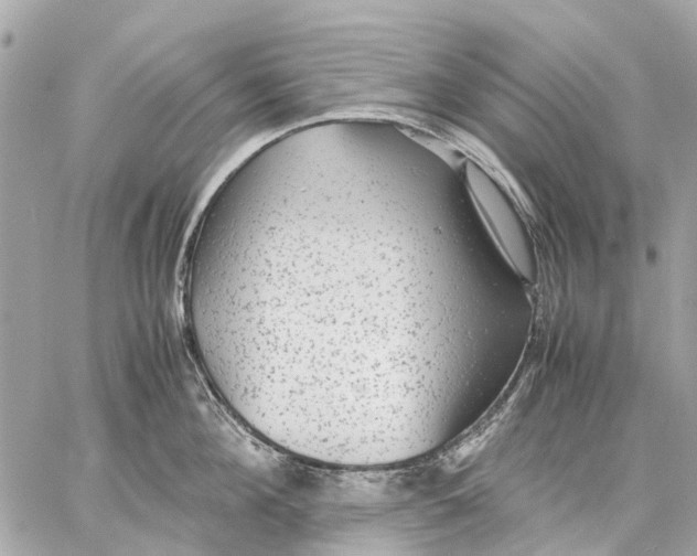 X0000059230908200511041238