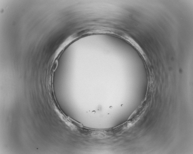 X0000059230909200511041238