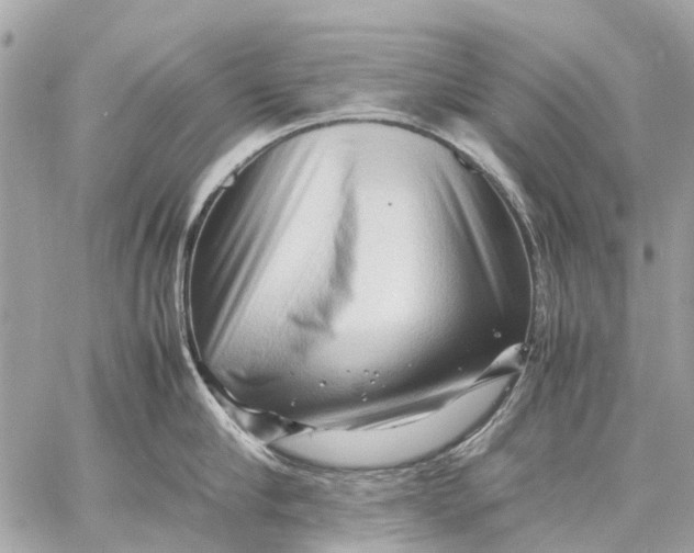 X0000059230910200511041238