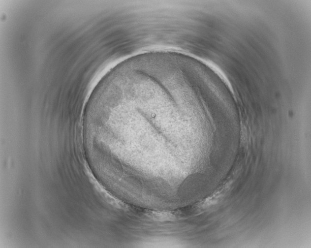 X0000059230911200511041238