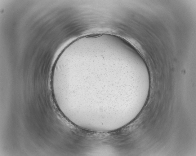 X0000059230912200511041238