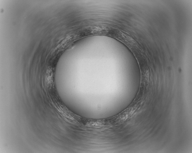 X0000059230914200511041238