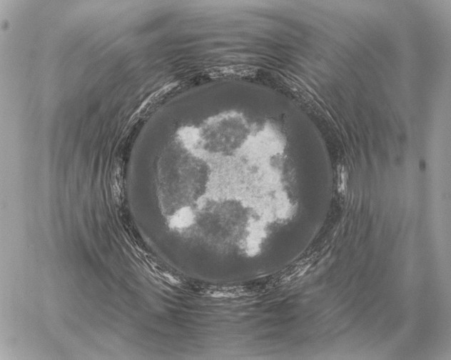 X0000059230915200511041238