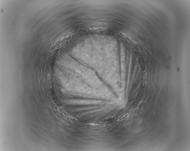 X0000059230917200511041238