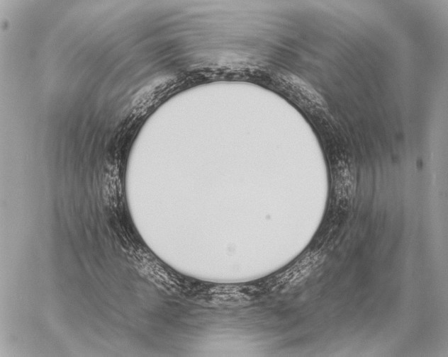 X0000059230918200511041238