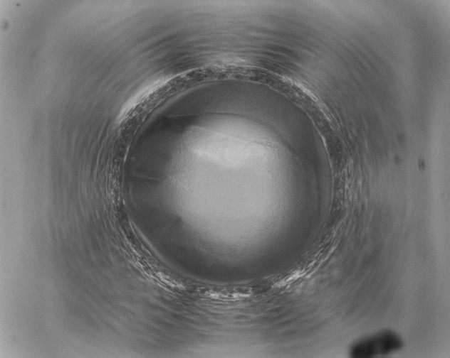 X0000059230919200511041238