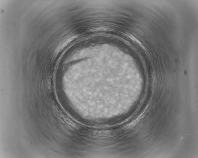 X0000059230921200511041238