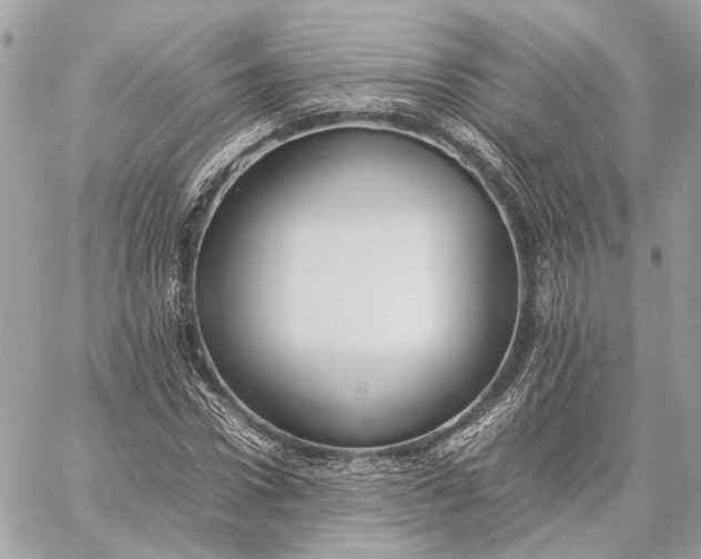 X0000059230922200511041238