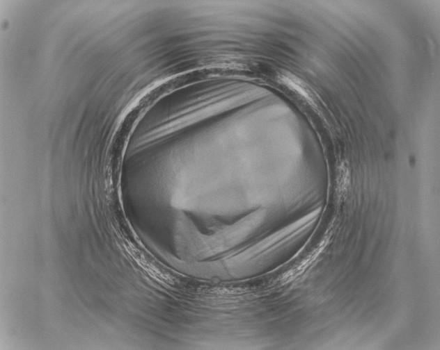 X0000059230923200511041238