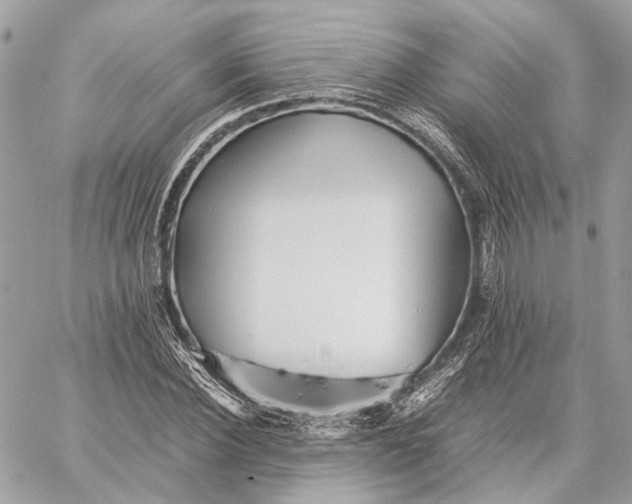 X0000059230924200511041238