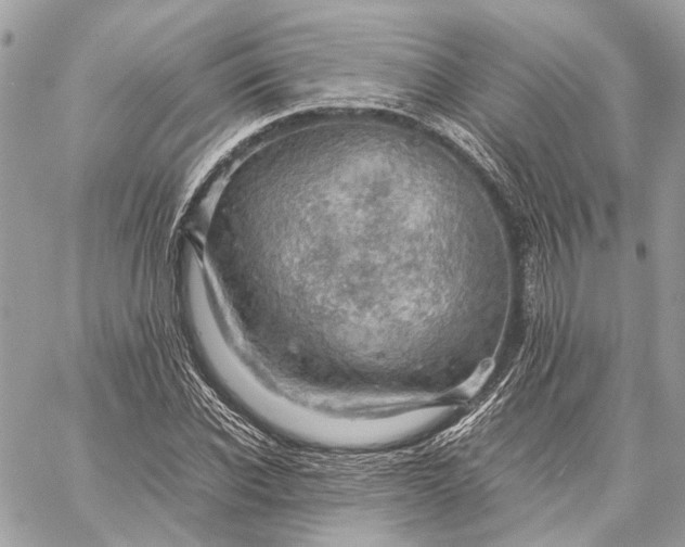 X0000059230926200511041238