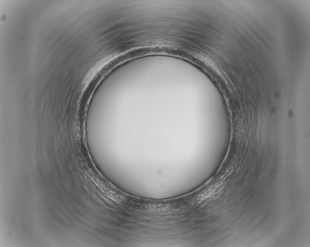 X0000059230927200511041238