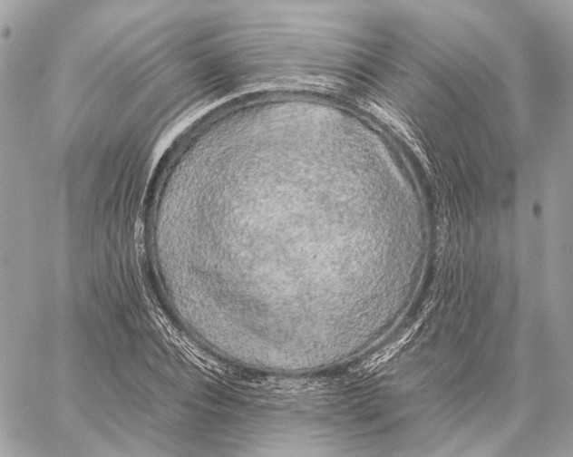 X0000059230928200511041238