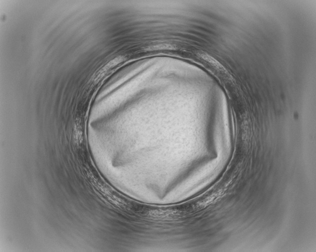 X0000059230929200511041238