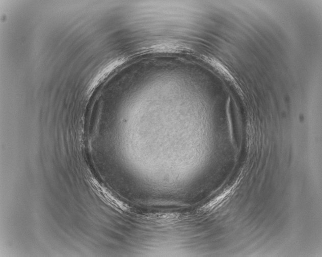 X0000059230930200511041238