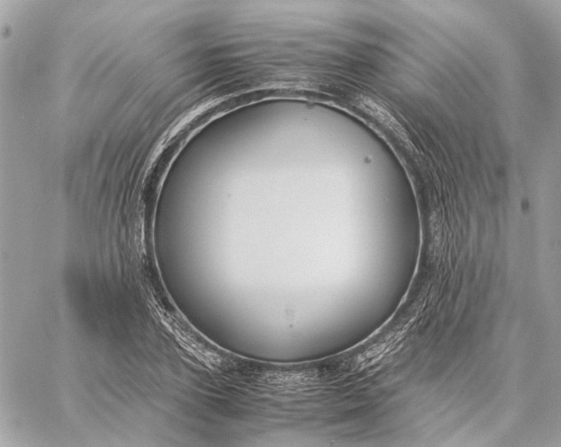 X0000059230931200511041238