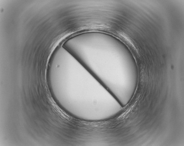 X0000059230932200511041238