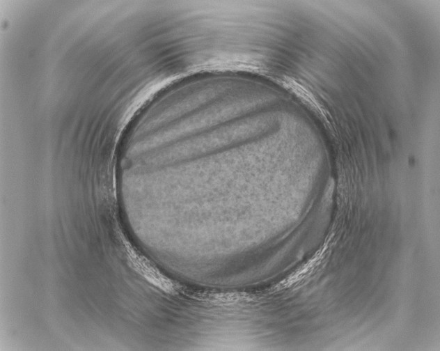 X0000059230934200511041238