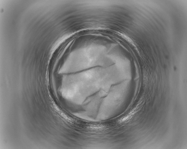 X0000059230935200511041238