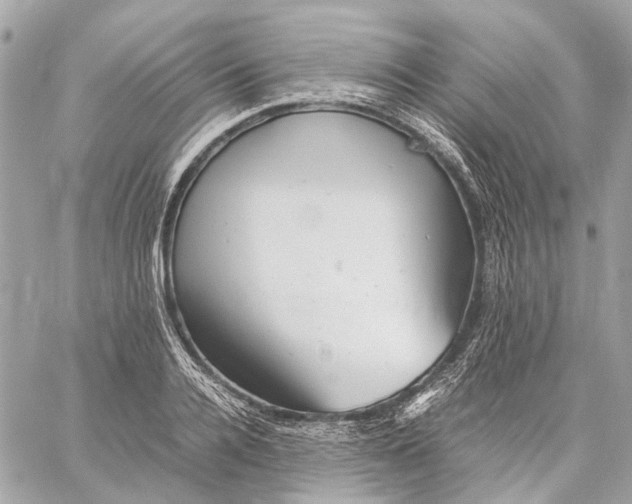 X0000059230936200511041238