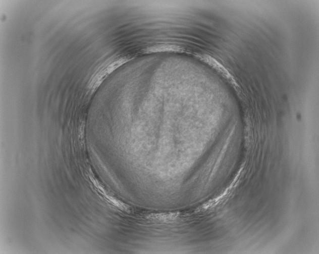 X0000059230937200511041238