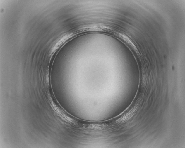 X0000059230938200511041238