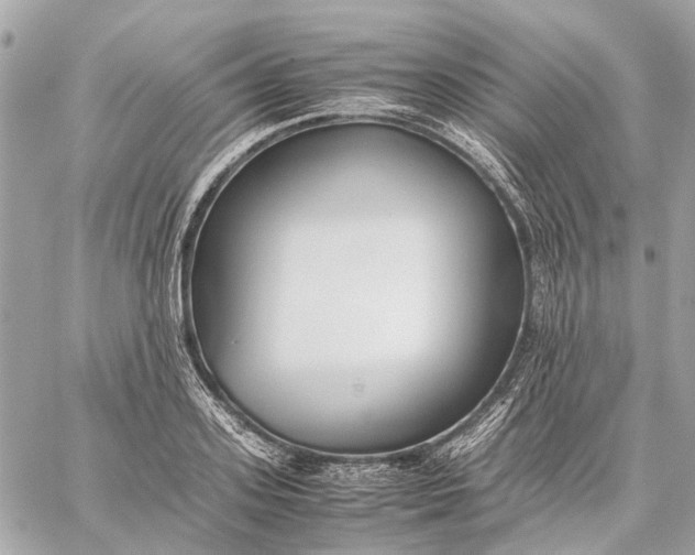 X0000059230939200511041238