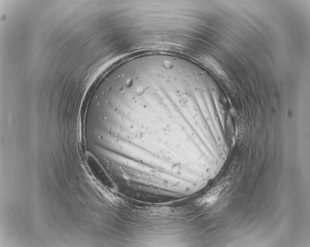 X0000059230940200511041238