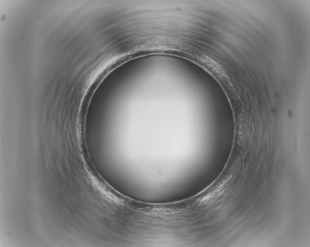 X0000059230942200511041238