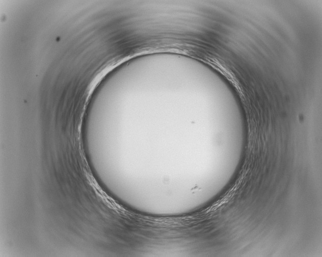 X0000059230944200511041238