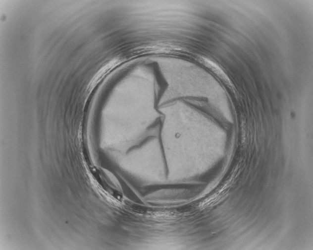 X0000059230946200511041238