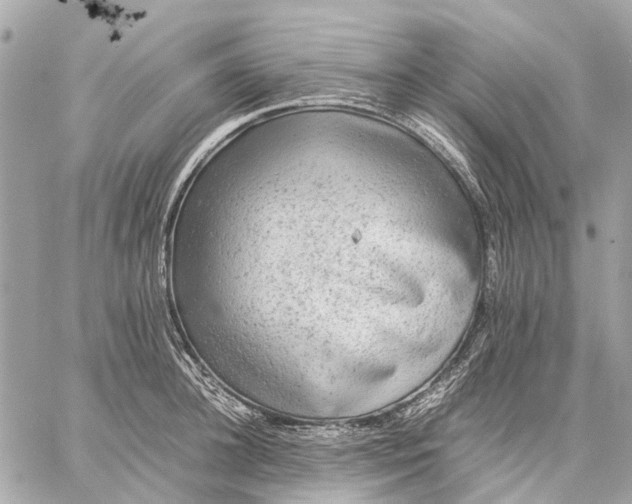 X0000059230948200511041238