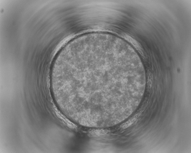 X0000059230950200511041238