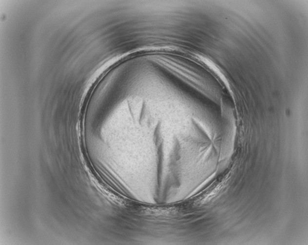 X0000059230951200511041238