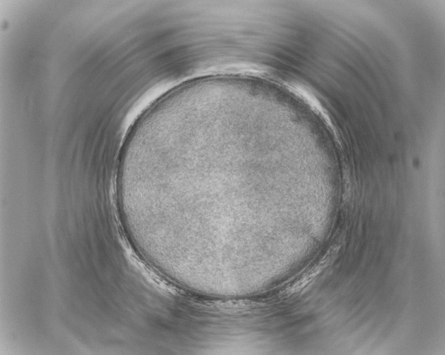 X0000059230952200511041238