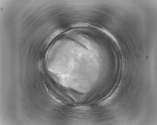 X0000059230953200511041238