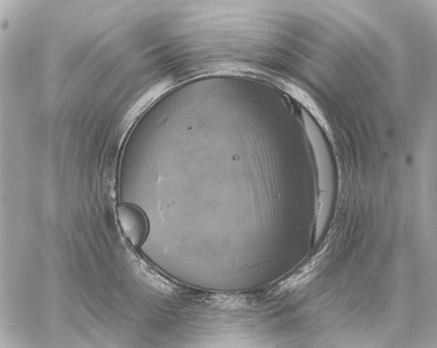 X0000059230954200511041238