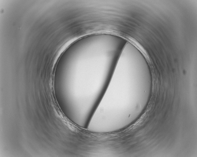 X0000059230956200511041238