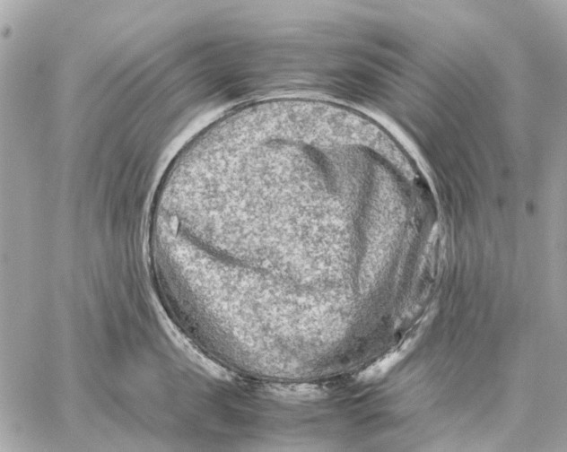 X0000059230957200511041238