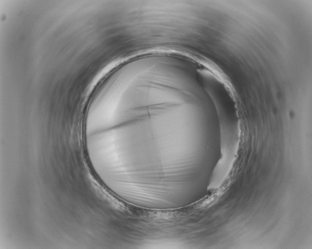 X0000059230958200511041238