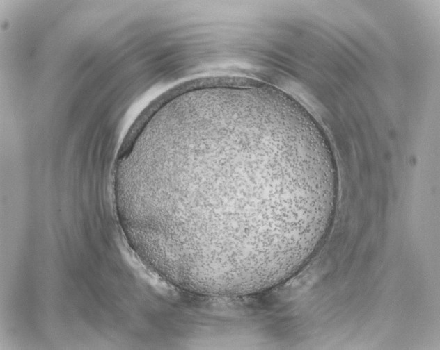 X0000059230960200511041238