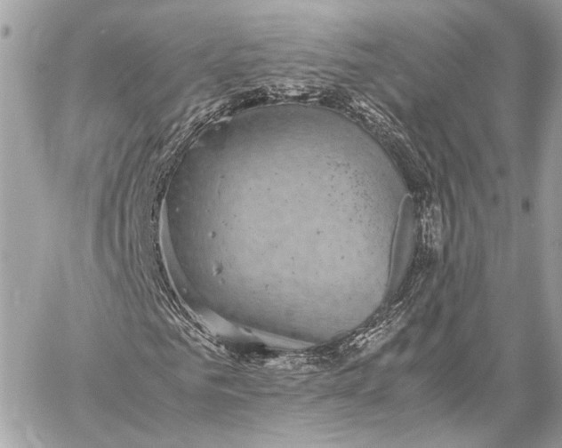 X0000059230961200511041237