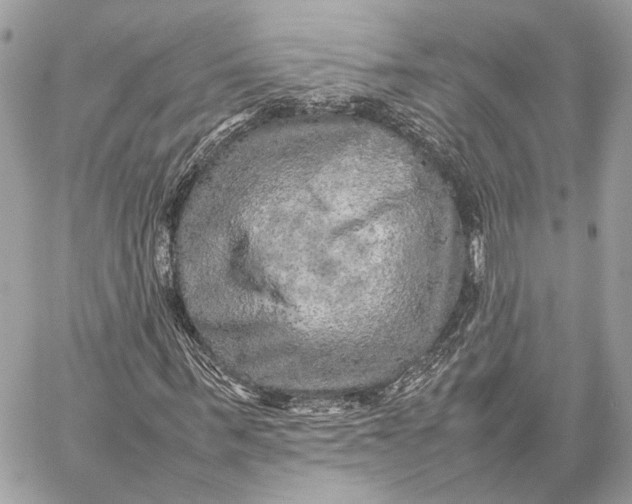 X0000059230963200511041237