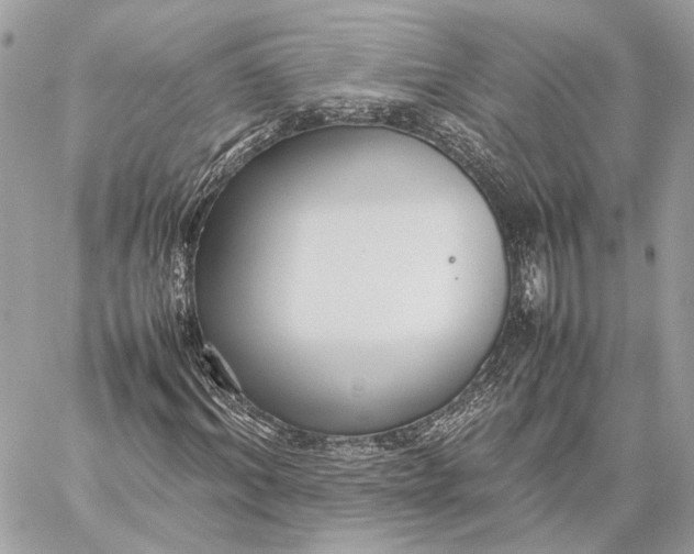 X0000059230964200511041237